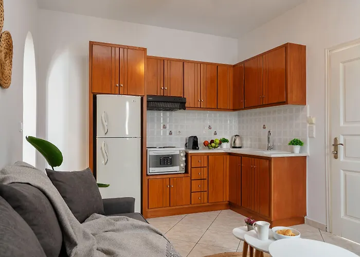 شقة فندقية Erato Naxos