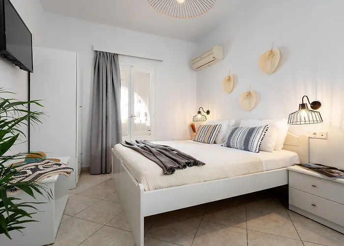 Erato Naxos 4* آغيوس بروكوبيوس