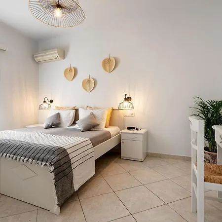 شقة فندقية Erato Naxos